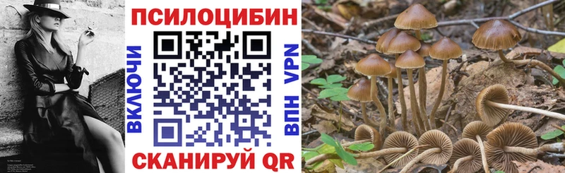 Галлюциногенные грибы Psilocybine cubensis  МЕГА как зайти  Любань  магазин продажи  