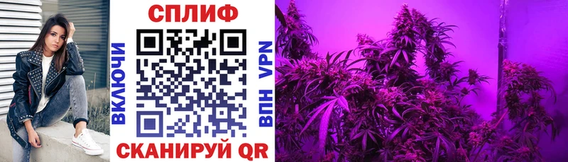 Марихуана SATIVA & INDICA  Любань 